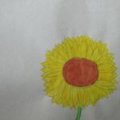 DSC06996