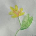 DSC06998